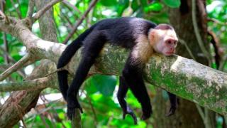 Pura Natura Lodge Arroyo - 3