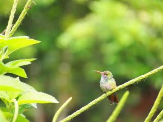 Pura Natura Lodge Arroyo - 1
