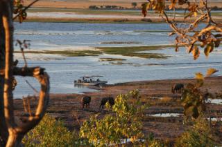Elephant Valley Lodge - Lesoma - 2