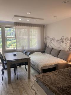 Haus Flaminia 15 - Best view studio / Free parking - Loèche-les-Bains - 4