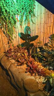 Pousada Bon Vivant - 2