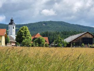 Bio-Bauernhof Wilfling - 2