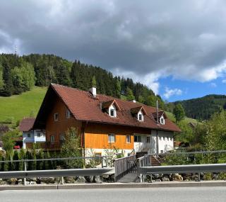 Haus Almblick - Gasen - 0