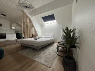 Appartement cœur de ville - Angers - 8