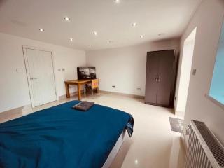 Spacious Studio Flat C - New Bedfont - 3