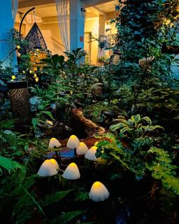 Pokoje przy Bulwarach - 1