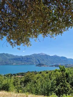 Chalet Como Lake magia tra Cervi e Bellagio - Griante Cadenabbia - 9