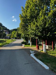 Pensiunea Oșencuța - Tălmaciu - 3