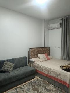 بفضل الله شقه فندقيه مكيفه ونت وحارس عقار تري النيل - 3