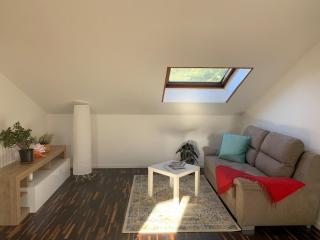 Nice apartment near Orio airport - 1
