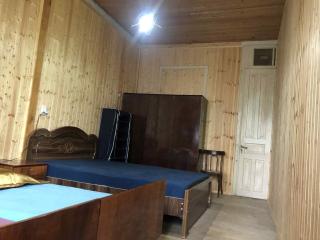 Dvaliauri - House by the Forest - 8