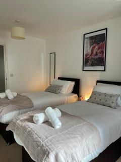 Luxury property with stunning views of Canary Warf - Londra - 1
