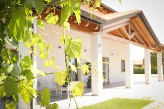 Tenuta Tommasi - Relais Bacco - 1