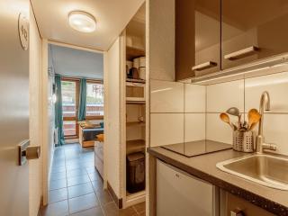 Studio rénové à Plagne Bellecôte, accès direct aux pistes, piscine, casier à ski, tout confort - FR-1-351-111 - 6