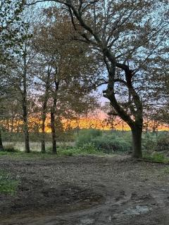 Gîte Domaine d'Hybère - 4