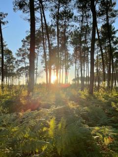Gîte Domaine d'Hybère - 3