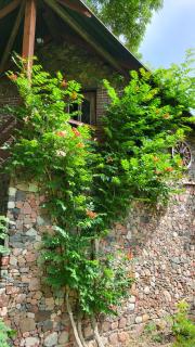 Hunters Lounge Apartments - 4