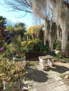 The Secret Garden Mossel Bay - 6