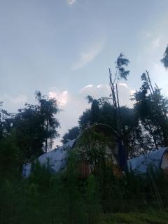 Dieng glamping syari'ah - Dieng - 3
