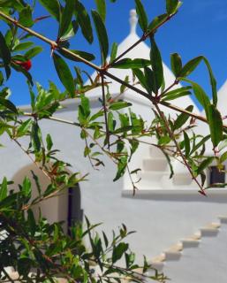 Il Trullo Bianco molillo - Ostuni - 8