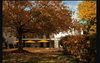 Little Mod Hotel at the University - Charlottesville - 6