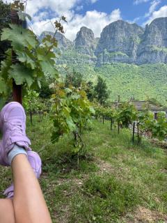 Morfeas Guesthouse - Papigko - 6