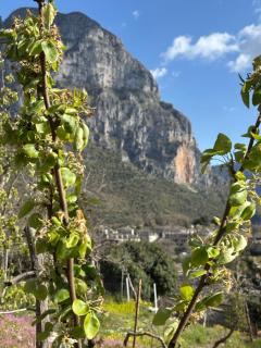 Morfeas Guesthouse - Papigko - 9