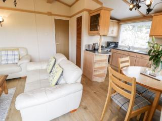 Alpine Lodge - Abergele - 7