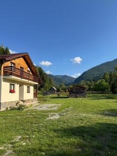 Pensiunea Floare de Colt - 5