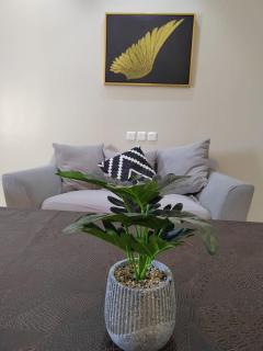 وادي العقيق 201 - 1