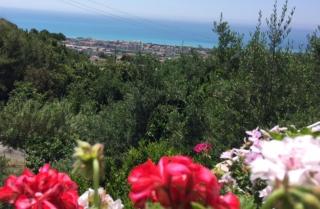 B&B dei Fiori - Praia a Mare - 8