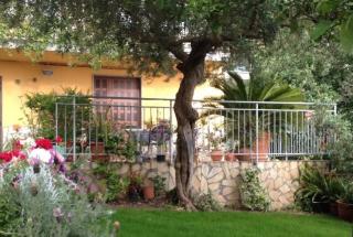 B&B dei Fiori - Praia a Mare - 6