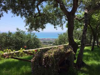 B&B dei Fiori - Praia a Mare - 9