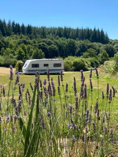 Natuurcamping Guillerin - 0