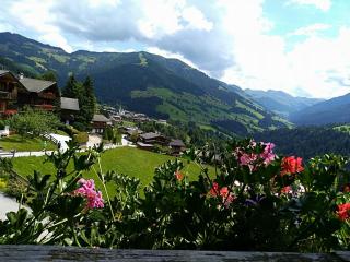 Aussermooserhof - Alpbach - 8