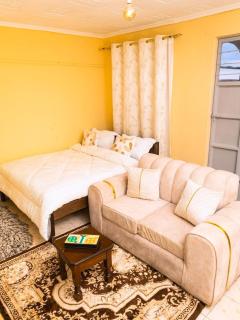A nice niche cozy Studio apartment in Kasarani - 1