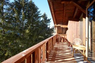 Lioda Oak Alpine Charm - Vinigo - 3
