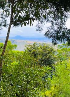 Flat 407 - Topo da Montanha - 2