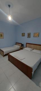Green Forest - 9