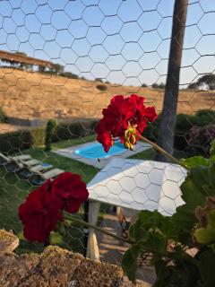 Quinta da Abrunheira - Gustavo Eiffel - 2