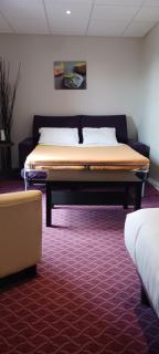 Brit Hotel Tours Sud – Le Cheops - Joué-lès-Tours - 9