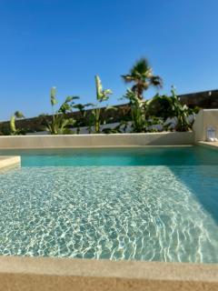 Adyton Mykonos Luxury Suites & Pools - 8