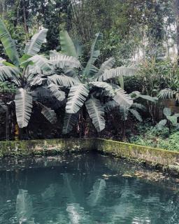 MARUTHY FARM HOUSE - Vandanmedu - 8