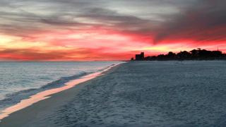 Beachcrest 1101 - Santa Rosa Beach - 1