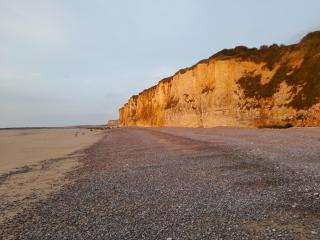 Les roses à la plage - 2