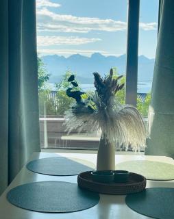 Apartment with a view - North - Åsgård - 2