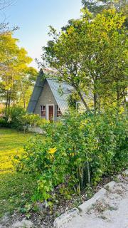 Happy Forest B&B - 8