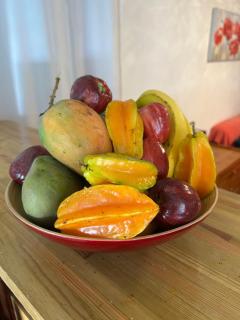 Maison Petit Paradis - Basse-Terre - 8