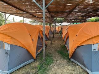 iCampJal Beach Camp and Bar - 6