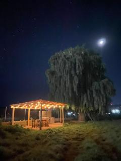 Meson del Bosque - 6
